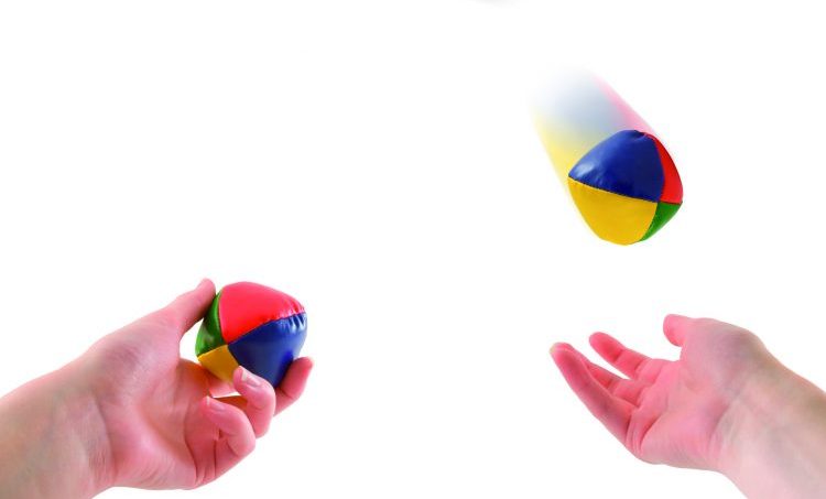 Professionalisering in de praktijk