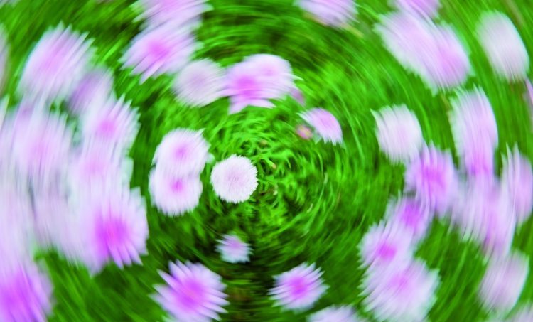 Medische basiskennis: Evenwichtsstoornissen