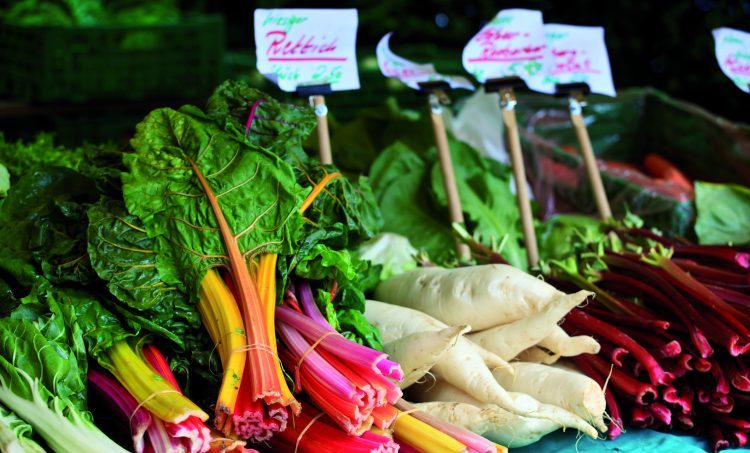 Richard de Leth, de man achter Oersterk