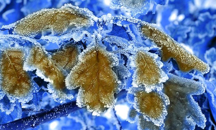 Liefdevol naar jezelf luisteren