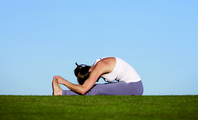 Karlien Bongers dagvoorzitter ‘Nature by the sea’