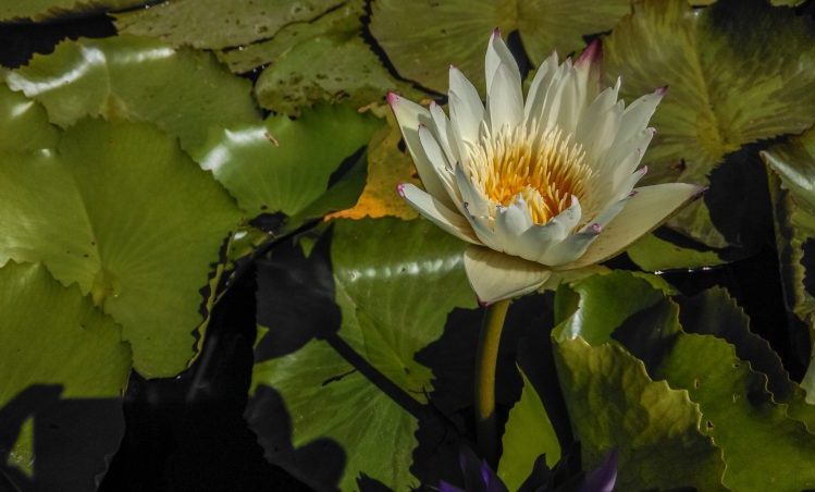 Op de vierde verdieping voelde het ineens niet goed