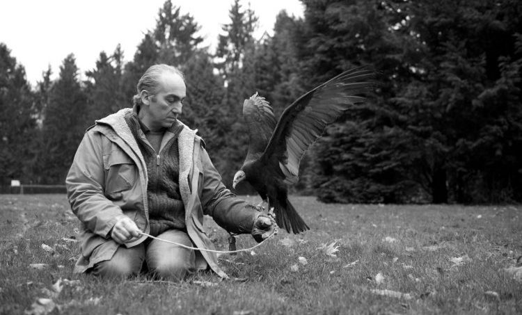 Leiderschaps- en persoonlijkheidstraining met roofvogels