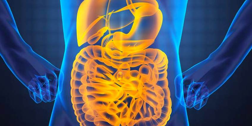 IgG4 analyse van nut bij ziekte van Crohn