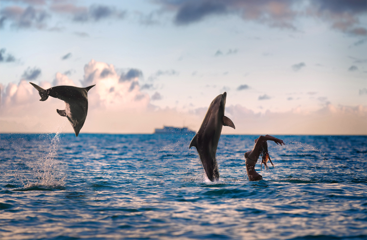 De helende en verbindende rol van ons bewustzijn