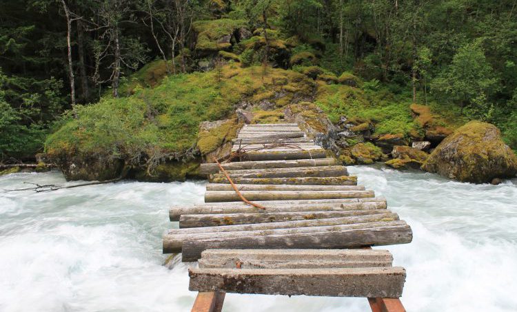 Integrale geneeskunde