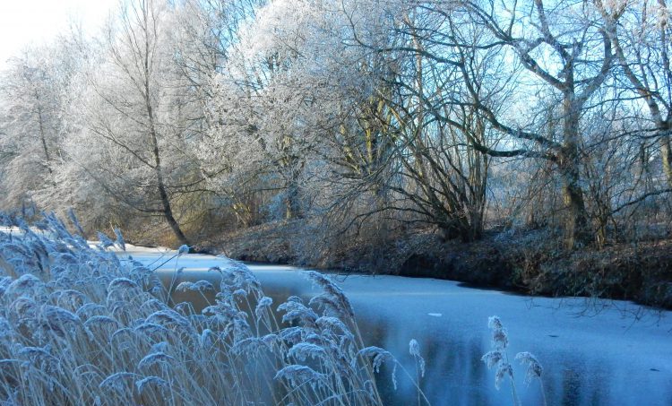 De natuur verbindt alles