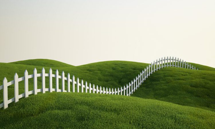 Wat schrijf je op je website?