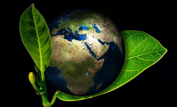 Internationaal kennis in uw vakgebied opdoen?