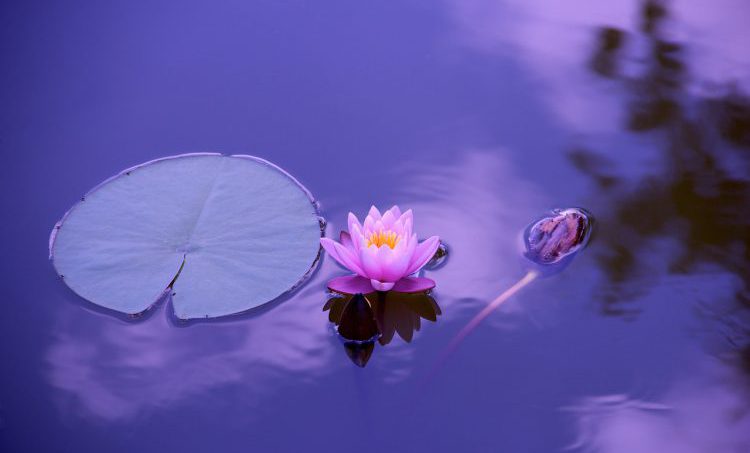 Zorg is niet alleen medisch