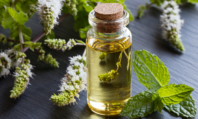 Effect van aromatherapie op angst bij hartpatiënten