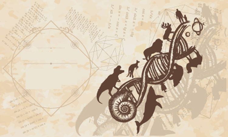 De evolutie van ademen