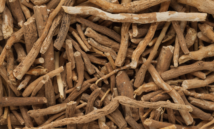 Ashwaganda vermindert symptomen van angst en depressie