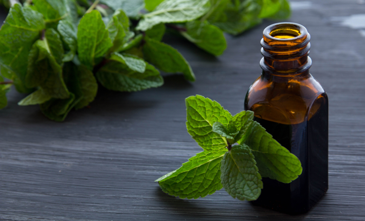 Aromatherapie vermindert misselijkheid en braken bij kankerbehandeling