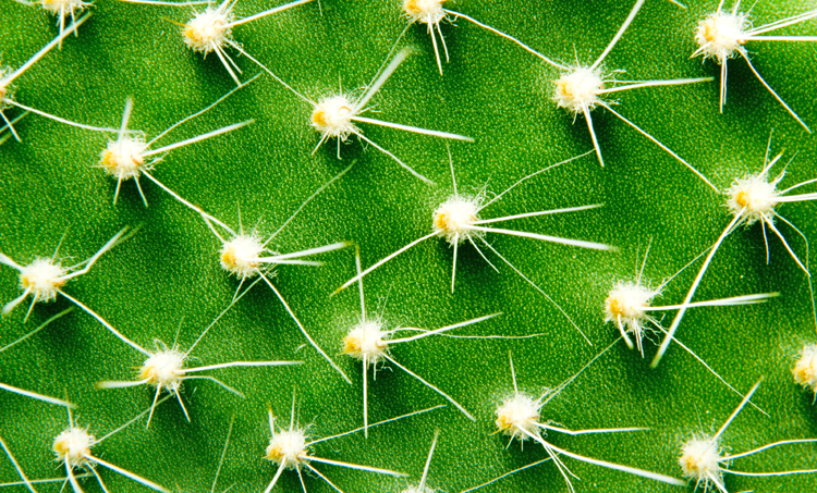 Chronische pijn onder jongeren