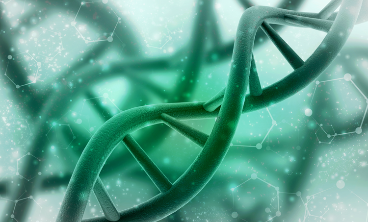 Goede magnesiumstatus verlaagt kans op DNA-schade