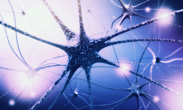 Nieuwe studie toont hersenschade aan bij ME/CVS en long covid