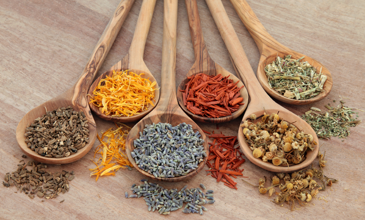 Onderzoek naar natuurgeneeskundige behandeling bij darmkanker