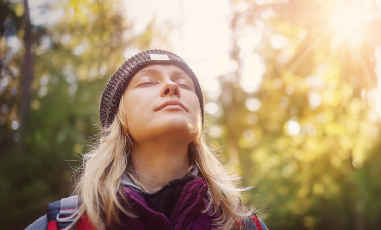 Meer dan een wandeling in het bos: de wetenschap rond bosbaden