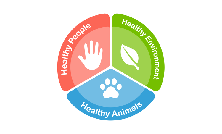 WHO neemt beleid over traditionele, complementaire en integratieve zorg aan