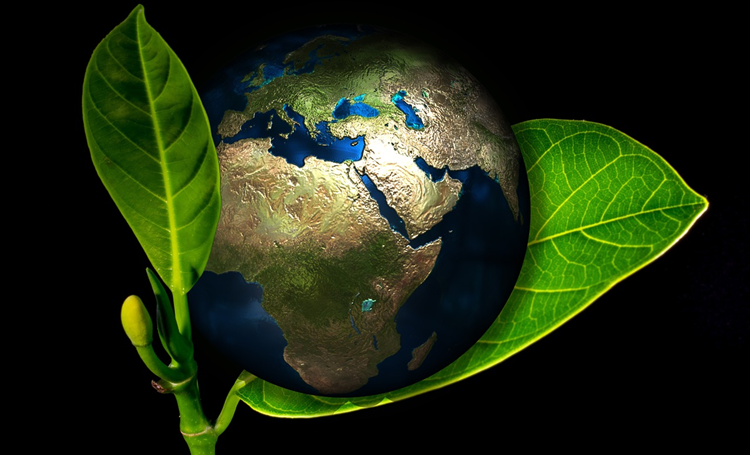 Nieuwe ICD-11 classificatie maakt traditionele geneeskunde meetbaar