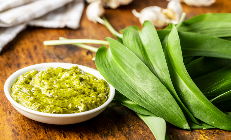 Ontluikende vroegbloeiers