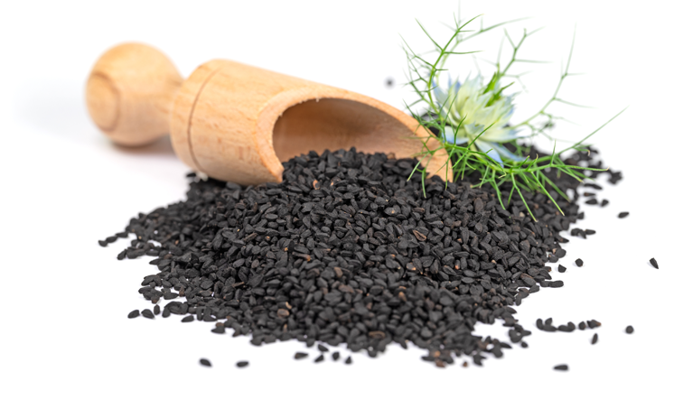 Nigella sativa helpt gingivitis verminderen