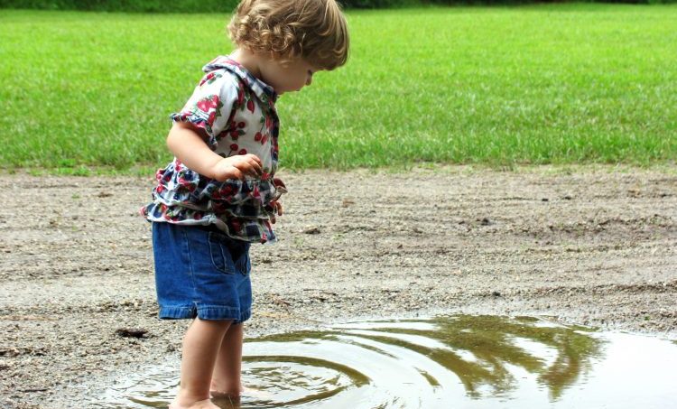 Goed vies: het nieuwe gezond