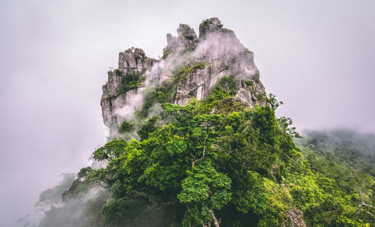 Koers houden met mist in je hoofd