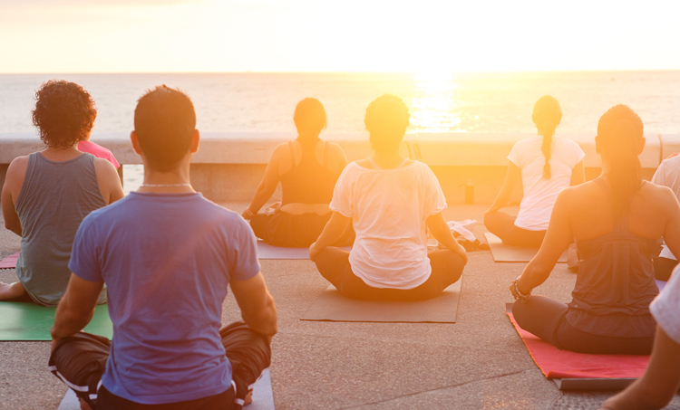 Intensieve meditatieretraite en vegan dieet verbeteren bloedvetwaarden