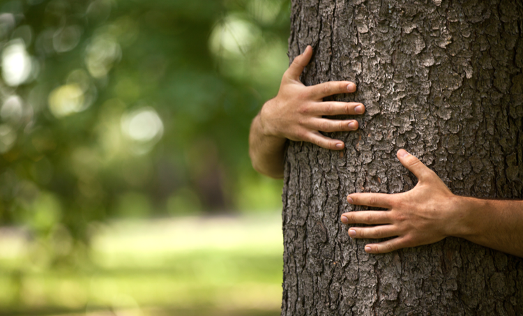 Waarom natuurgeneeskunde juist nu zo belangrijk is