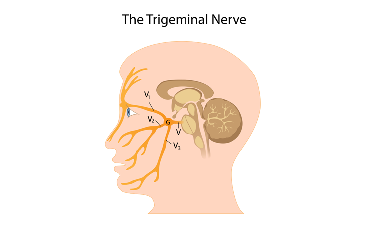 Reflexzonetherapie bij trigeminus neuralgie