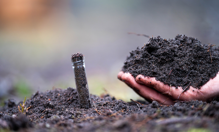         De bodem onder onze gezondheid